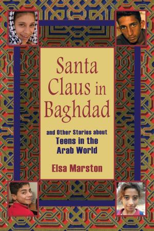 Book cover of Santa Claus in Baghdad and Other Stories about Teens in the Arab World
