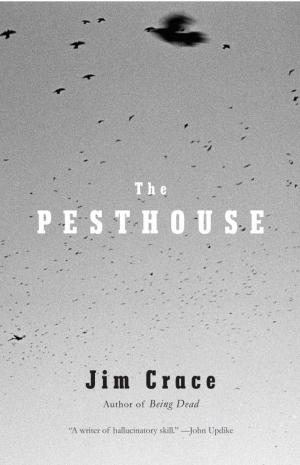 Cover of the book The Pesthouse by Simon Sebag Montefiore