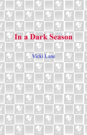 Cover of the book In a Dark Season by Stewart Lee Allen