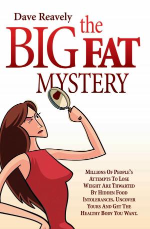 Book cover of The Big Fat Mystery