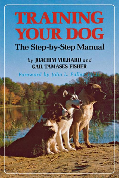 Cover of the book Training Your Dog by Joachim Volhard, Gail Tamases Fisher, Turner Publishing Company