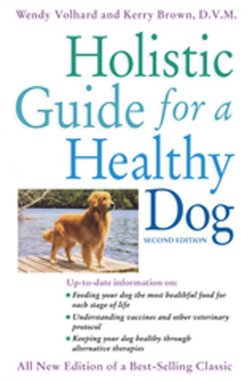 Cover of the book Holistic Guide for a Healthy Dog by Wendy Volhard, Kerry Brown, D.V.M., Turner Publishing Company
