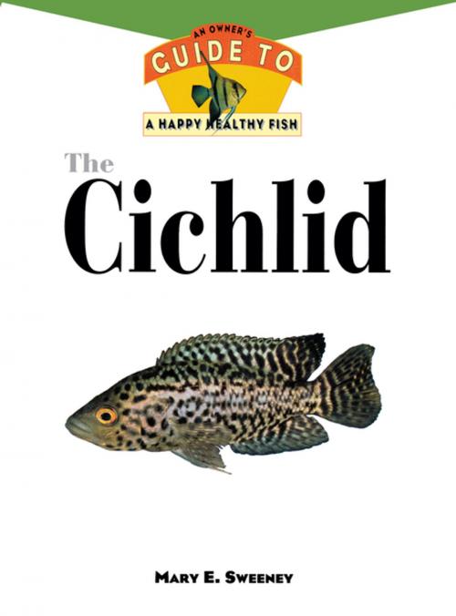 Cover of the book The Cichlid by Mary E. Sweeney, Turner Publishing Company