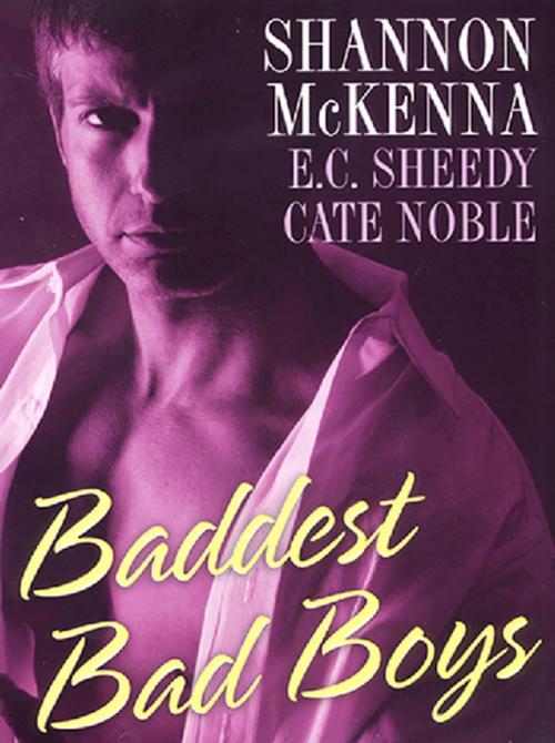 Cover of the book Baddest Bad Boys by Shannon McKenna, E. C. Sheedy, Cate Noble, Kensington Books