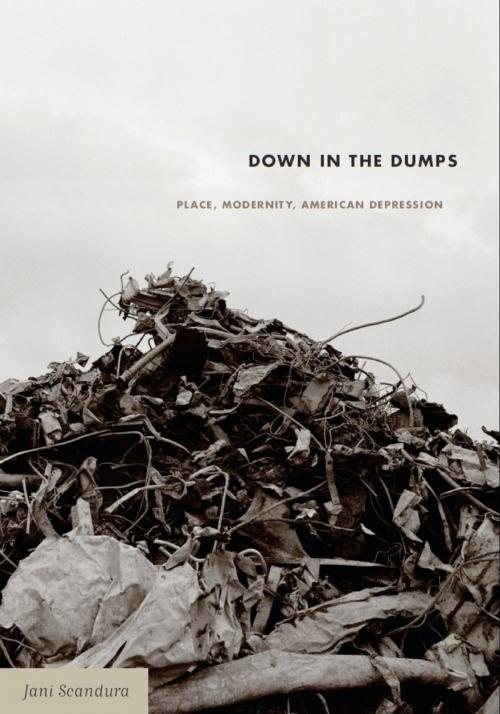 Cover of the book Down in the Dumps by Jani Scandura, Duke University Press