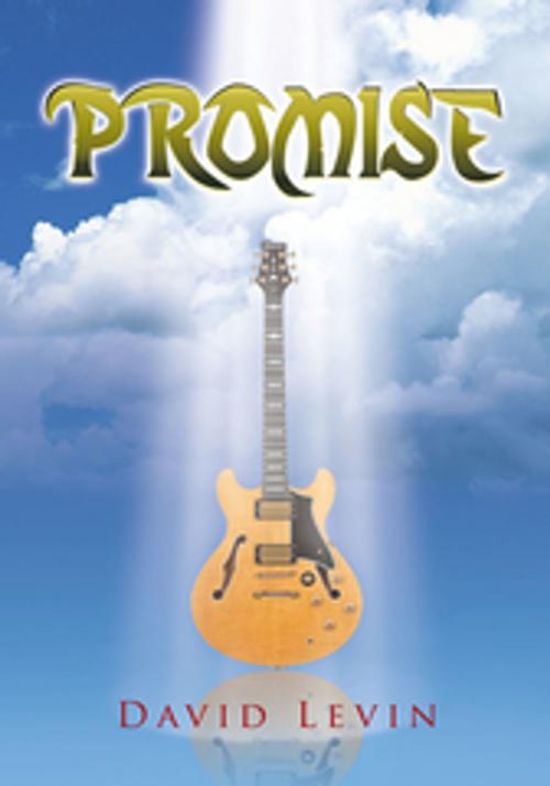 Cover of the book Promise by David Levin, Xlibris US