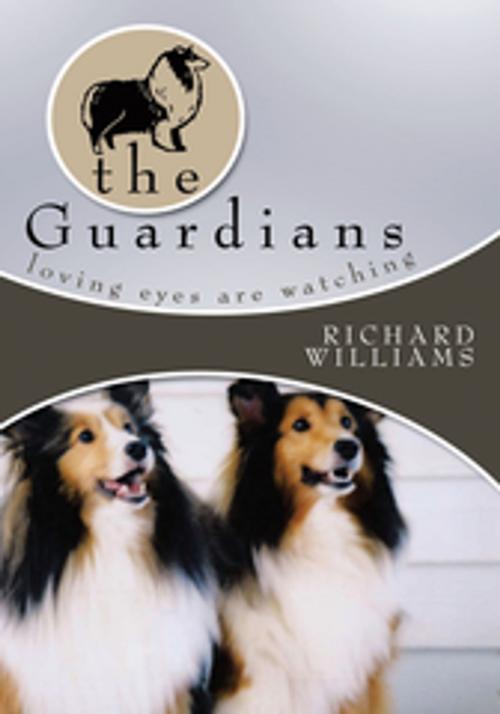 Cover of the book The Guardians by Richard Williams, AuthorHouse