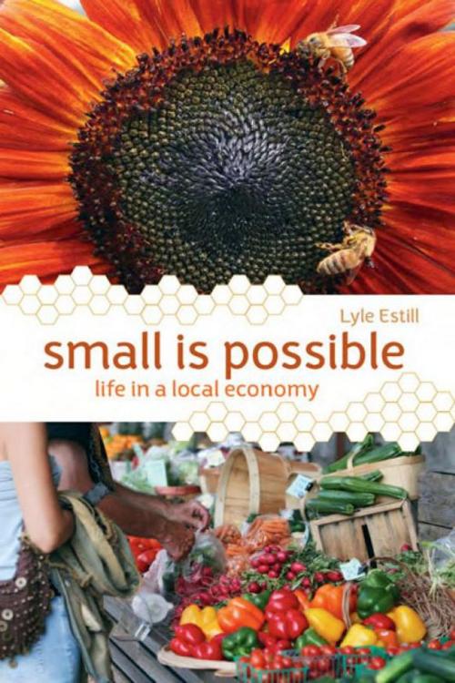 Cover of the book Small Is Possible by Lyle Estill, New Society Publishers