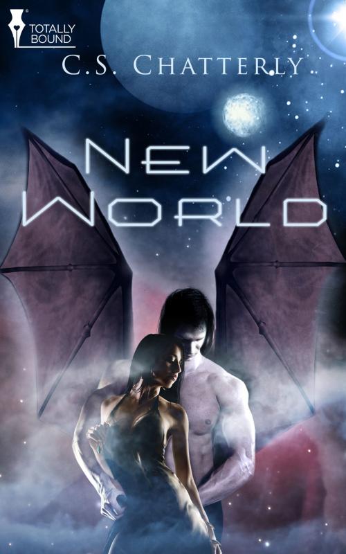 Cover of the book New World by C.S. Chatterly, Totally Entwined Group Ltd
