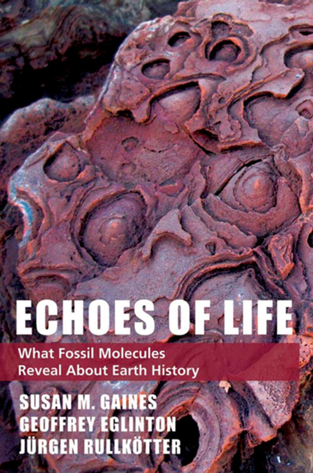 Big bigCover of Echoes of Life