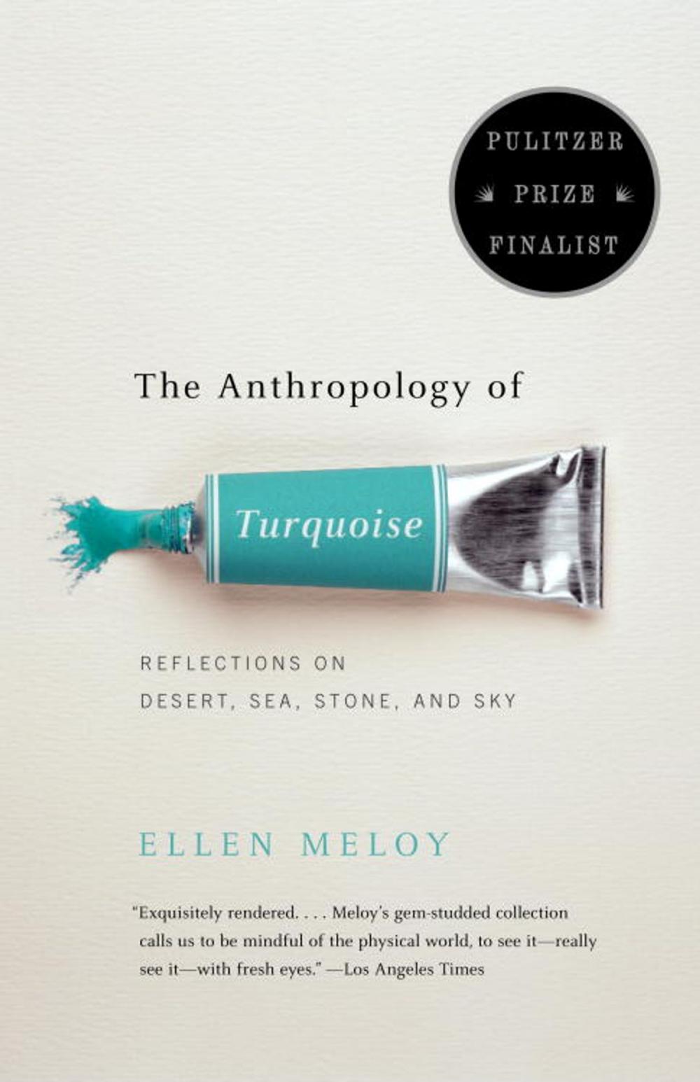 Big bigCover of The Anthropology of Turquoise