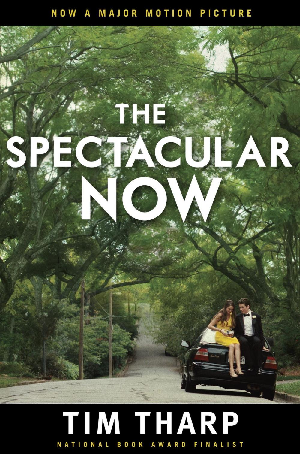 Big bigCover of The Spectacular Now