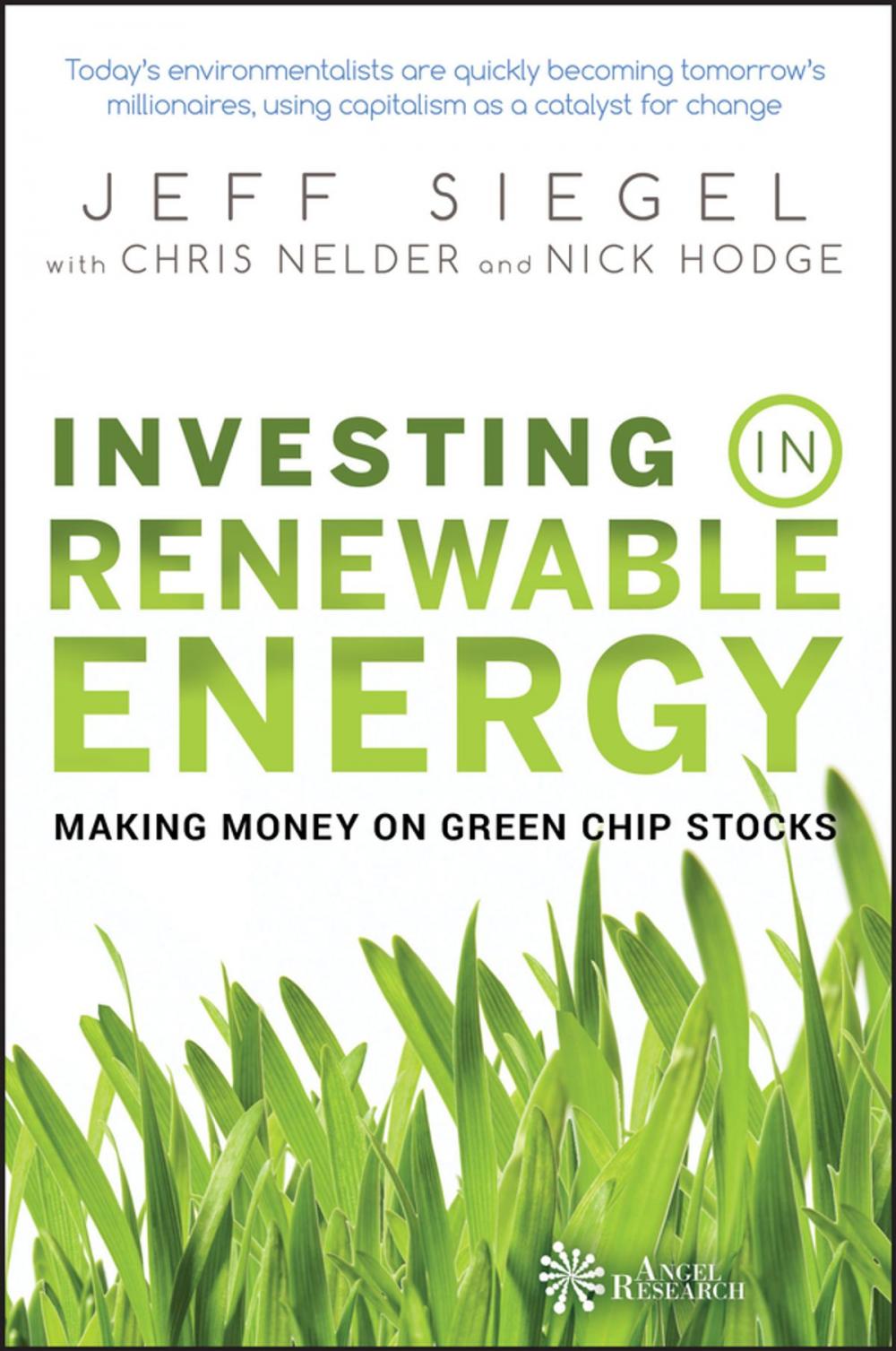 Big bigCover of Investing in Renewable Energy