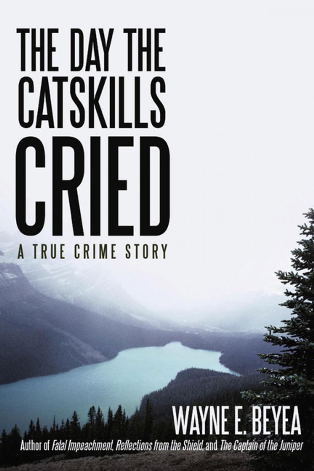 Big bigCover of The Day the Catskills Cried