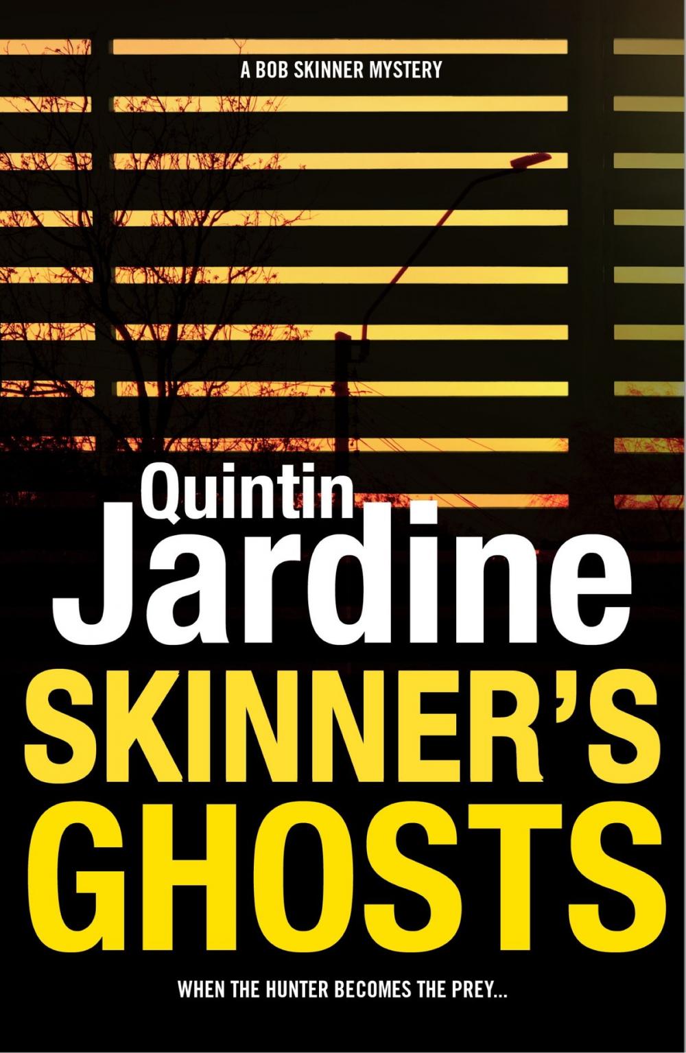 Big bigCover of Skinner's Ghosts (Bob Skinner series, Book 7)