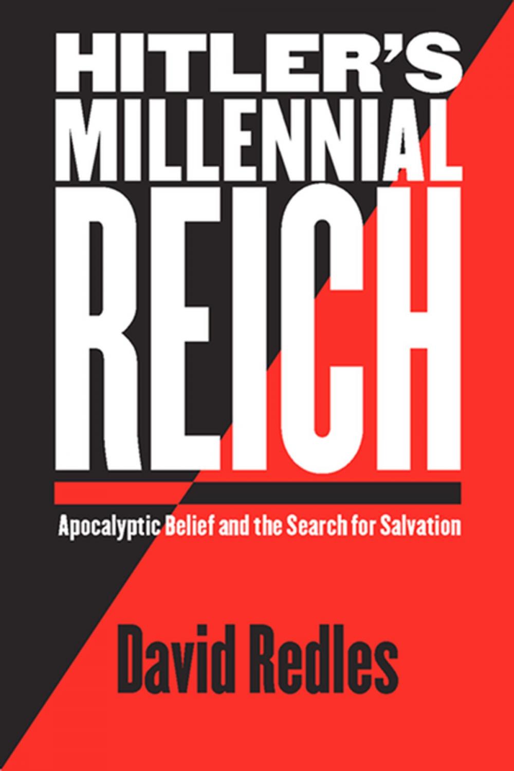 Big bigCover of Hitler's Millennial Reich