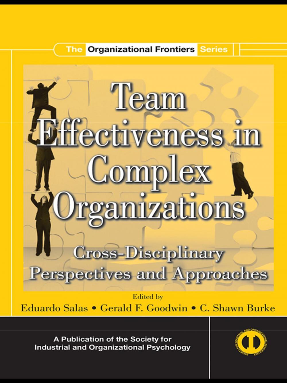 Big bigCover of Team Effectiveness In Complex Organizations