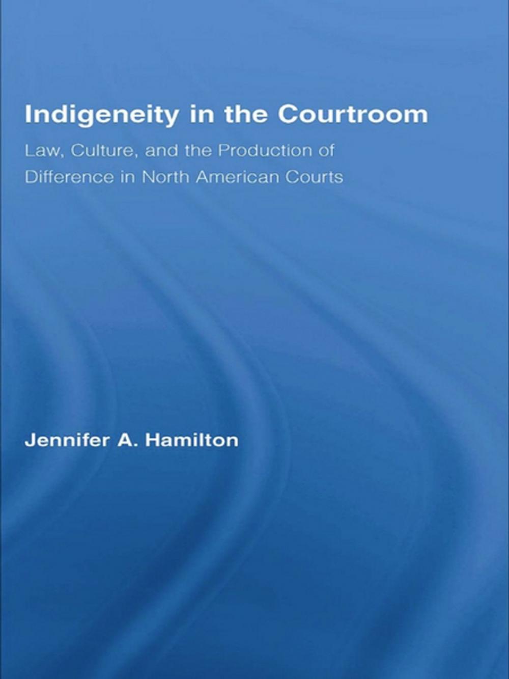 Big bigCover of Indigeneity in the Courtroom