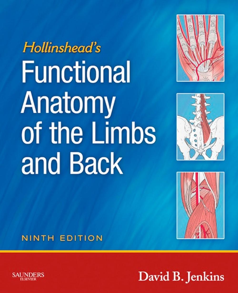 Big bigCover of Hollinshead's Functional Anatomy of the Limbs and Back - E-Book