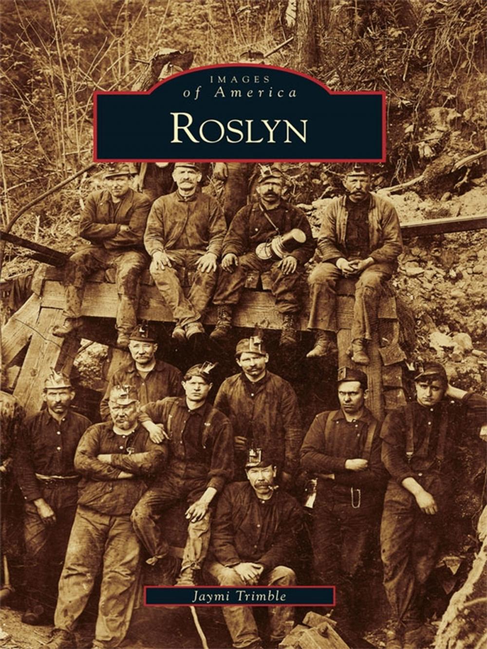 Big bigCover of Roslyn