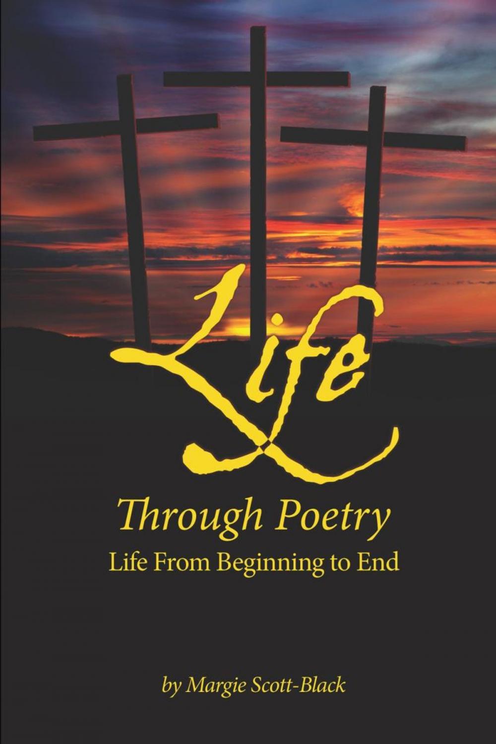 Big bigCover of Life Through Poetry