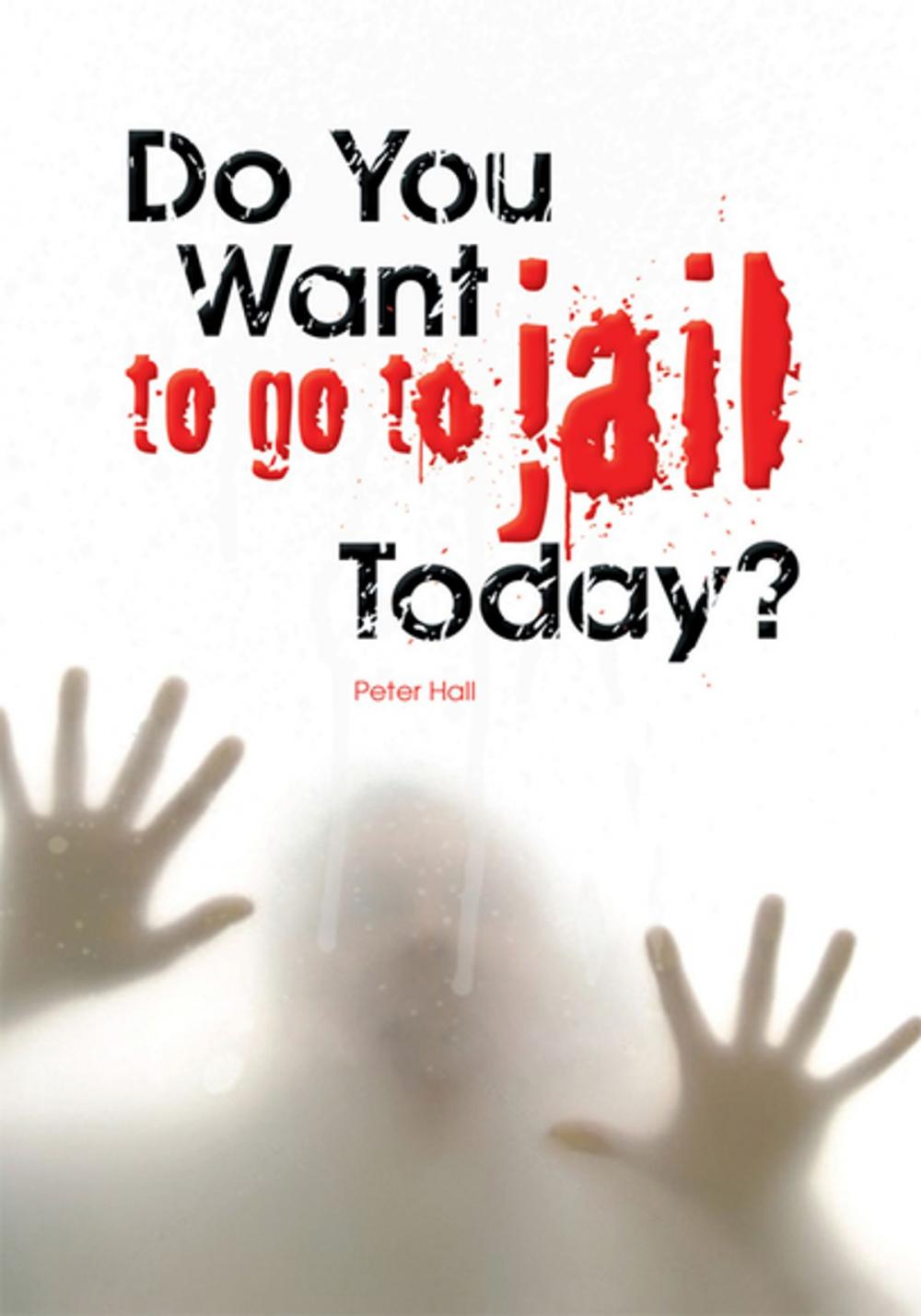 Big bigCover of Do You Want to Go to Jail Today?