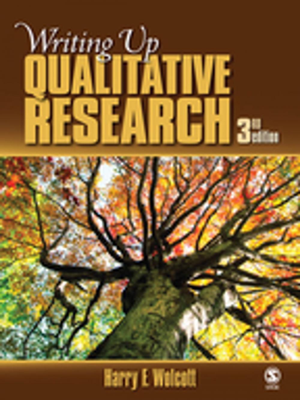 Big bigCover of Writing Up Qualitative Research