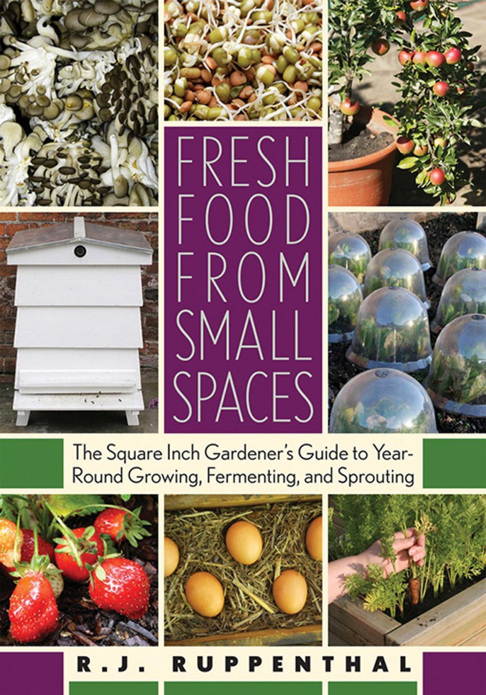 Big bigCover of Fresh Food from Small Spaces