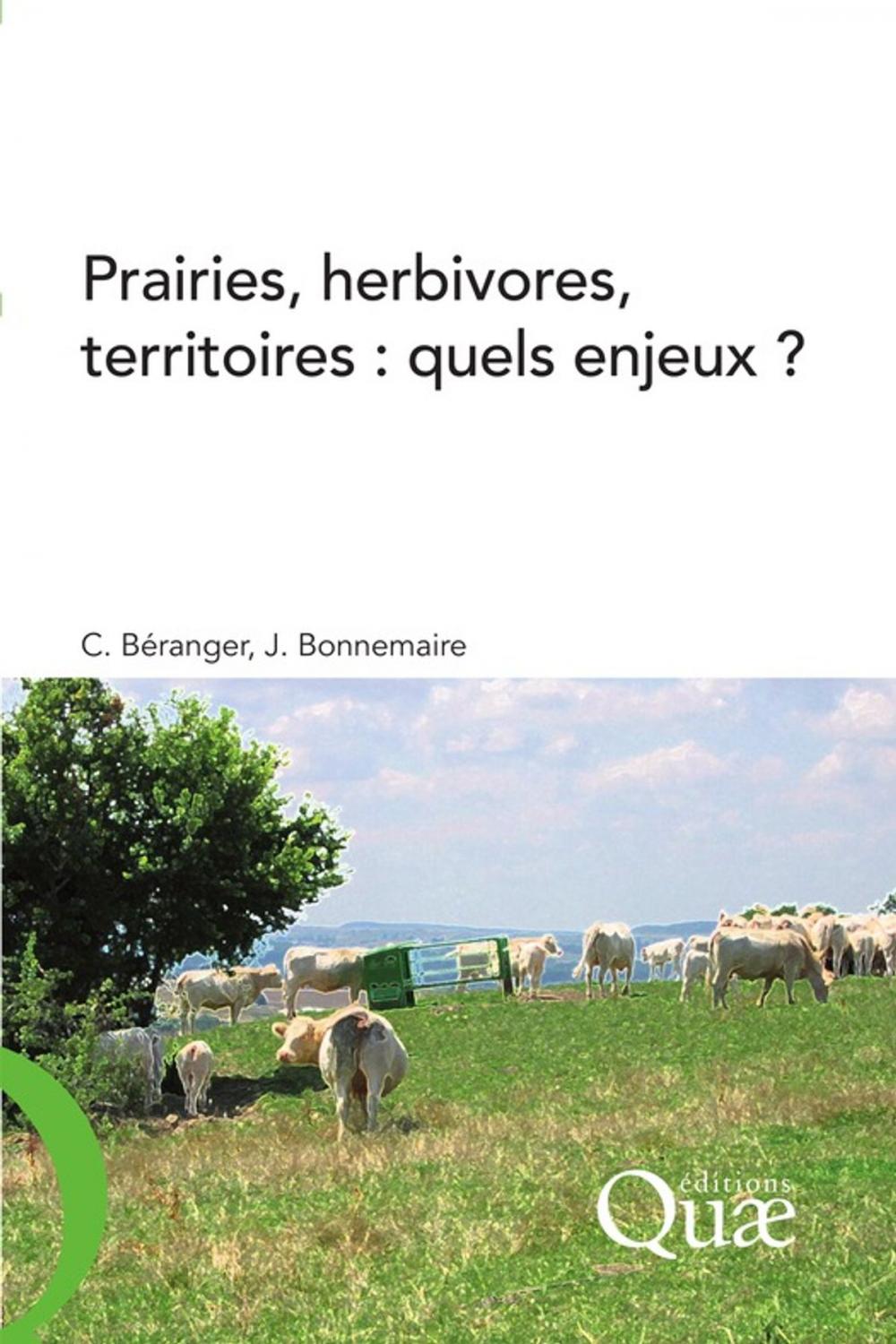 Big bigCover of Prairies, herbivores, territoires : quels enjeux ?