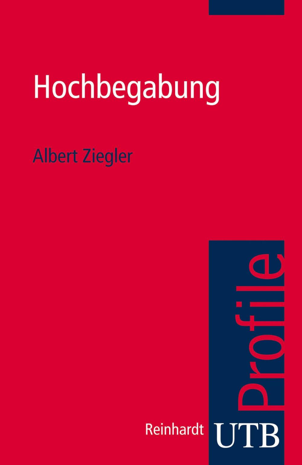 Big bigCover of Hochbegabung