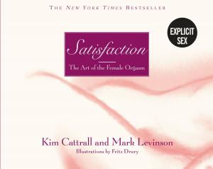 Book cover of Satisfaction