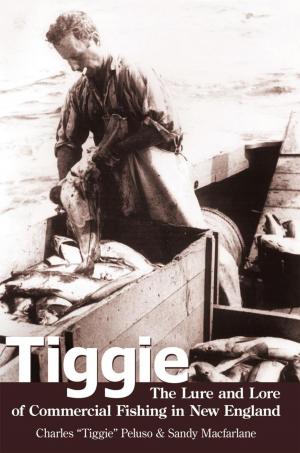 Cover of the book Tiggie by Laurel Bell-Krasner