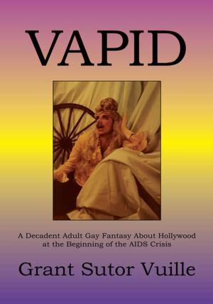 Cover of the book Vapid by Jason Hurlburt