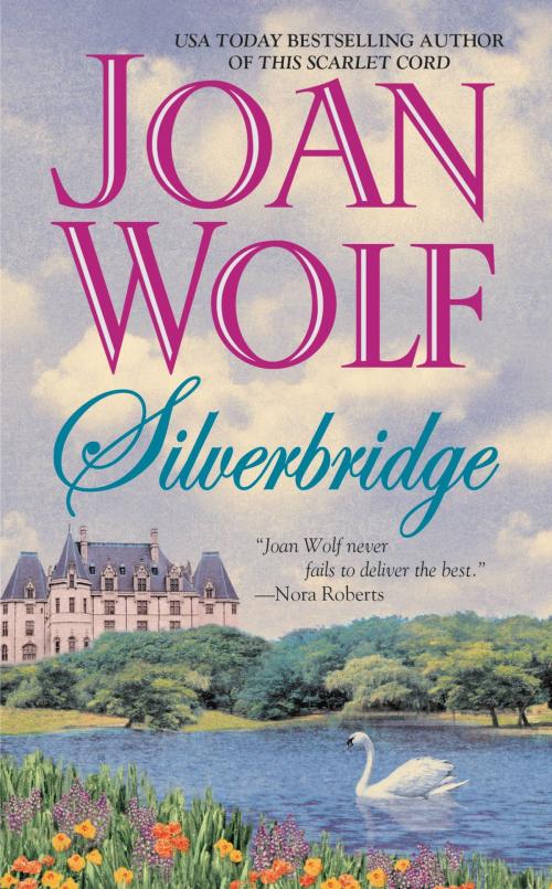 Cover of the book Silverbridge by Joan Wolf, Grand Central Publishing