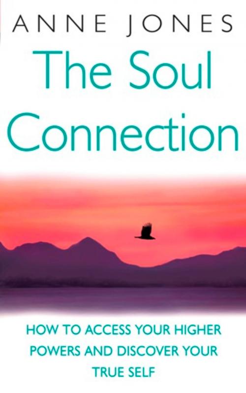 Cover of the book The Soul Connection by Anne Jones, Little, Brown Book Group