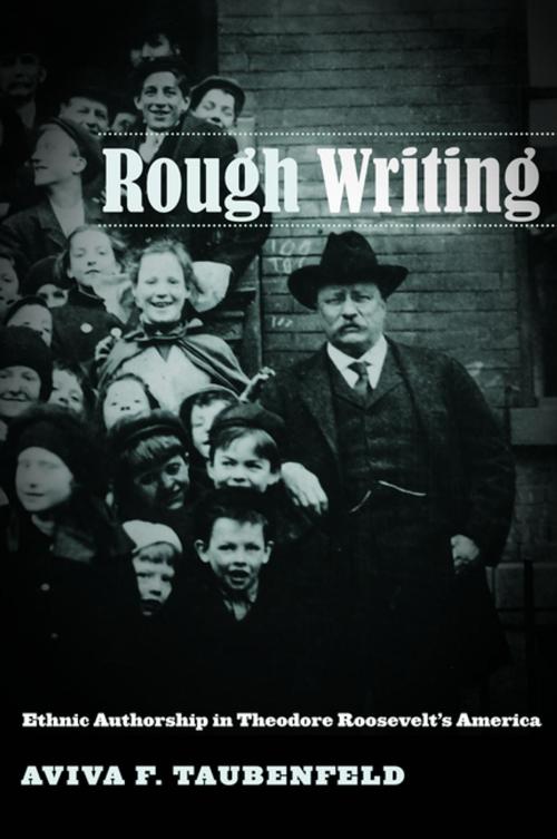 Cover of the book Rough Writing by Aviva F. Taubenfeld, NYU Press