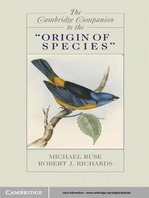 Cover of the book The Cambridge Companion to the 'Origin of Species' by Robert J. Richards, Cambridge University Press