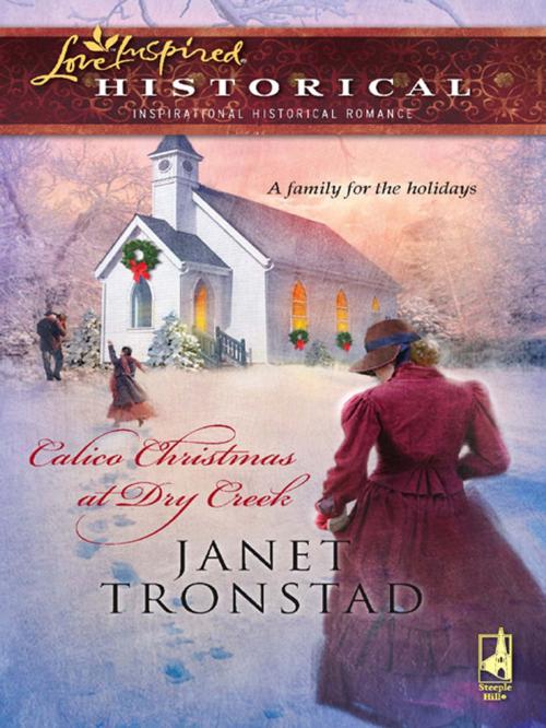 Cover of the book Calico Christmas at Dry Creek by Janet Tronstad, Steeple Hill