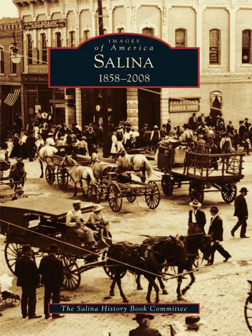 Cover of the book Salina by The Salina History Book Committee, Arcadia Publishing Inc.