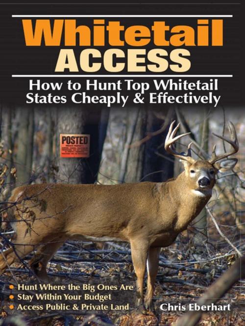 Cover of the book Whitetail Access by Chris Eberhart, F+W Media