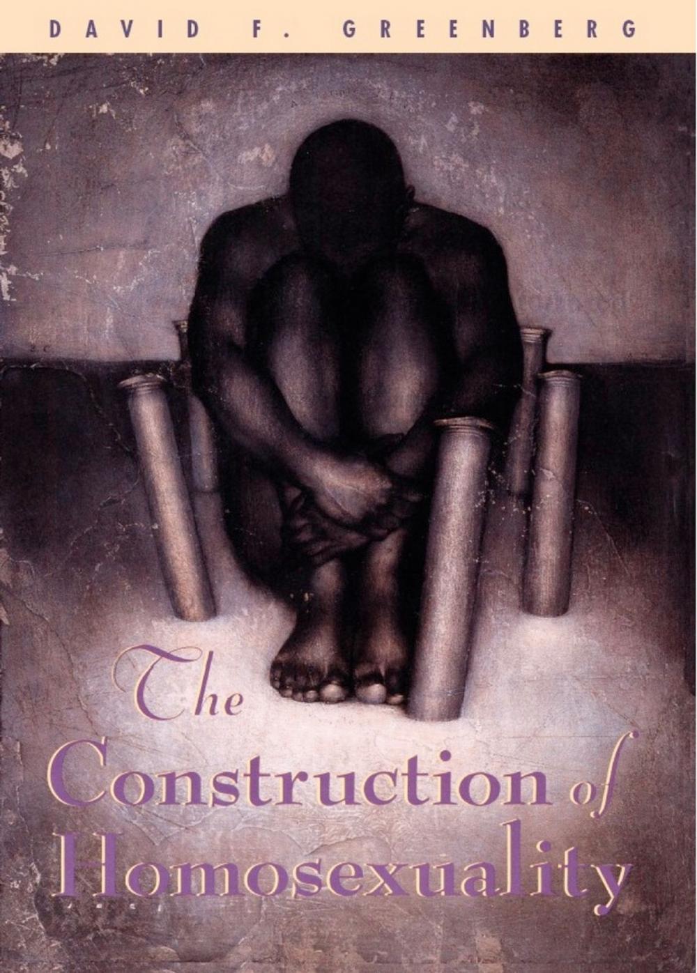 Big bigCover of The Construction of Homosexuality