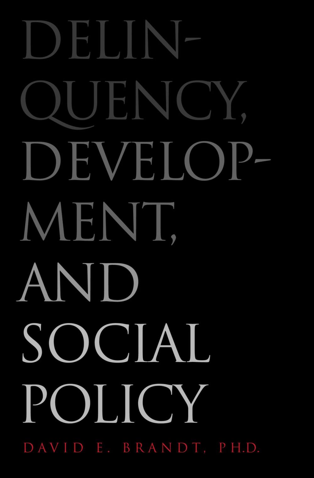 Big bigCover of Delinquency, Development, and Social Policy