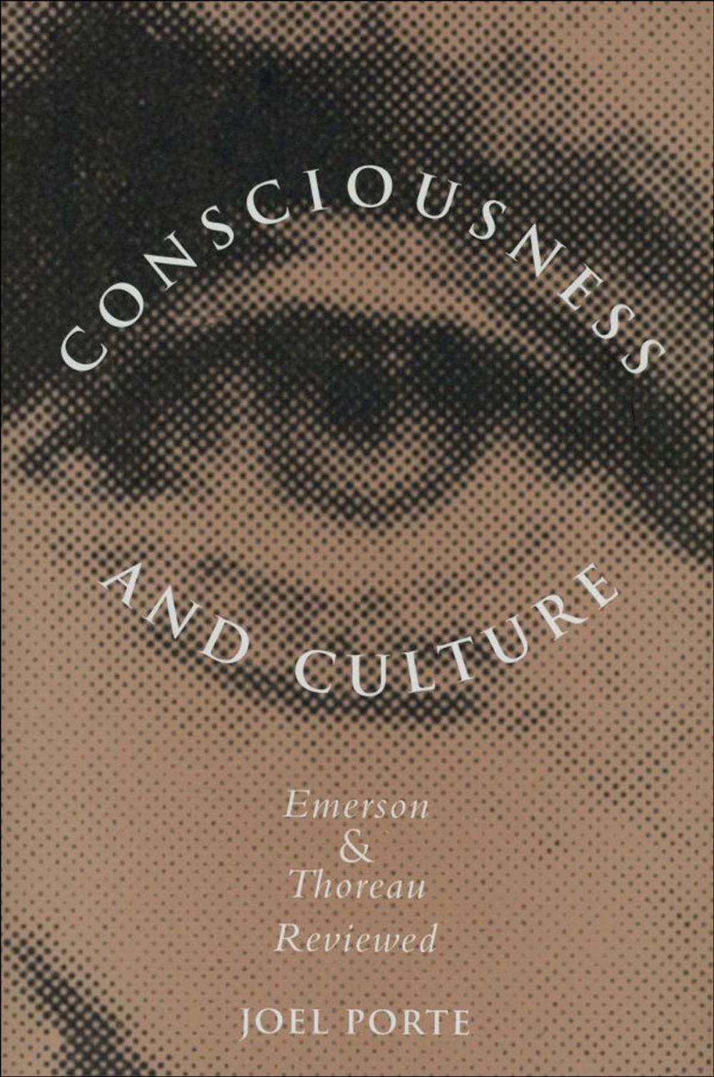 Big bigCover of Consciousness and Culture