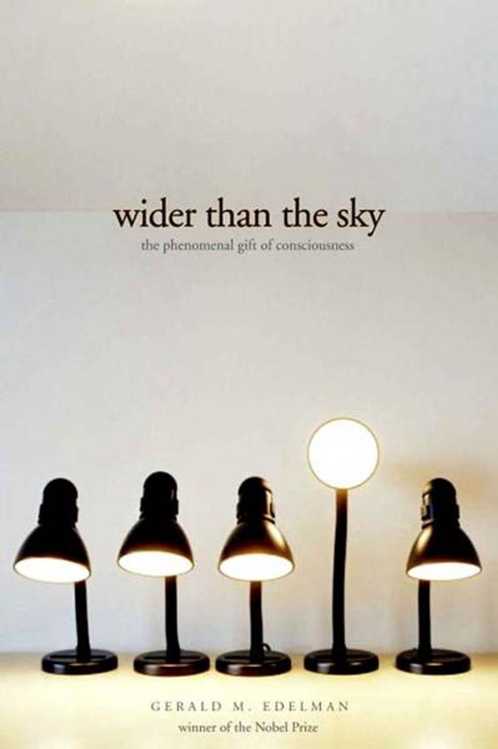 Big bigCover of Wider Than the Sky: The Phenomenal Gift of Consciousness