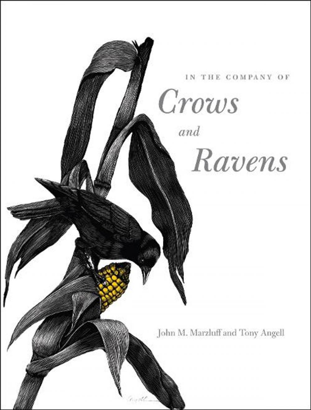 Big bigCover of In the Company of Crows and Ravens