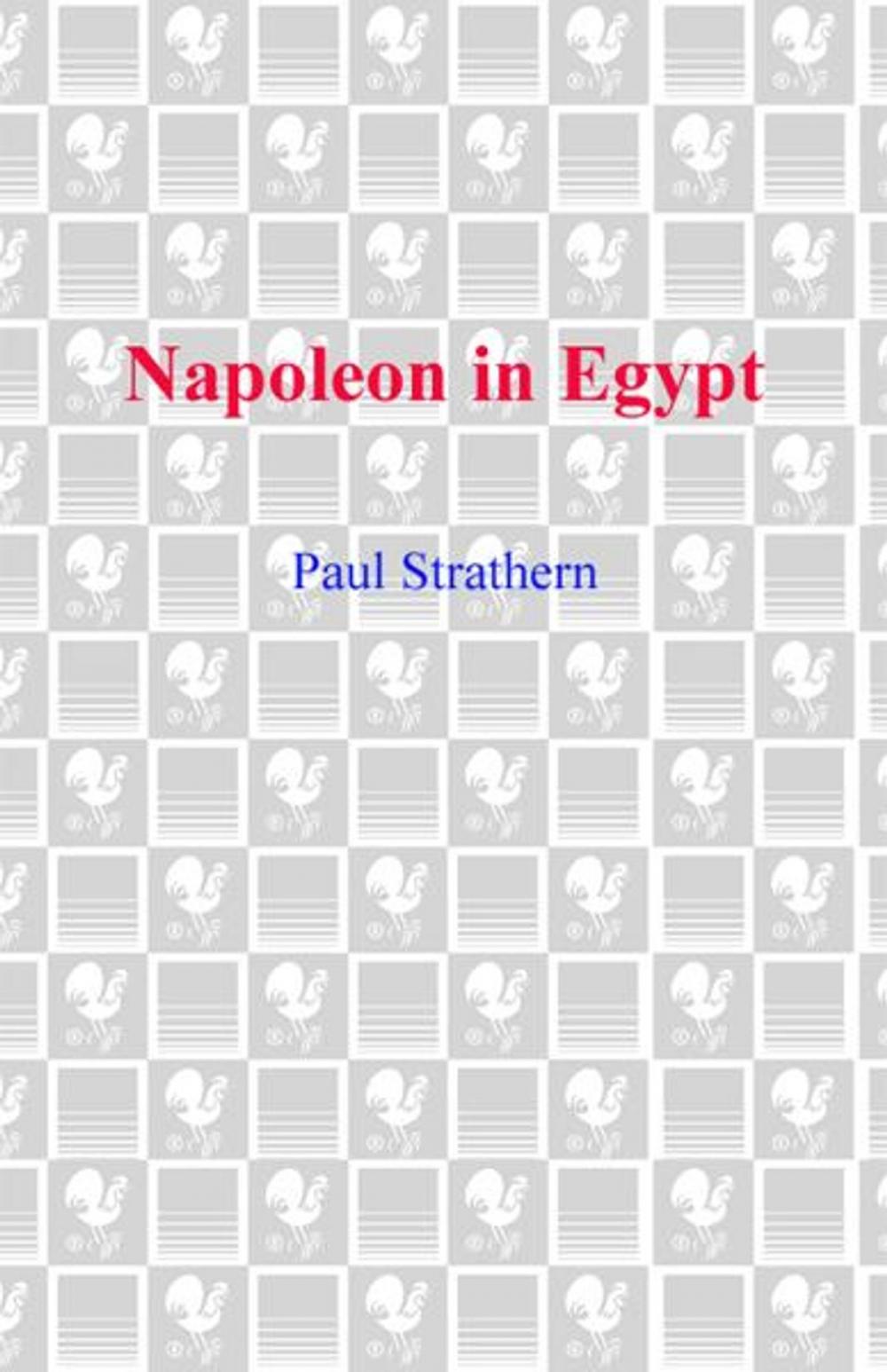 Big bigCover of Napoleon in Egypt