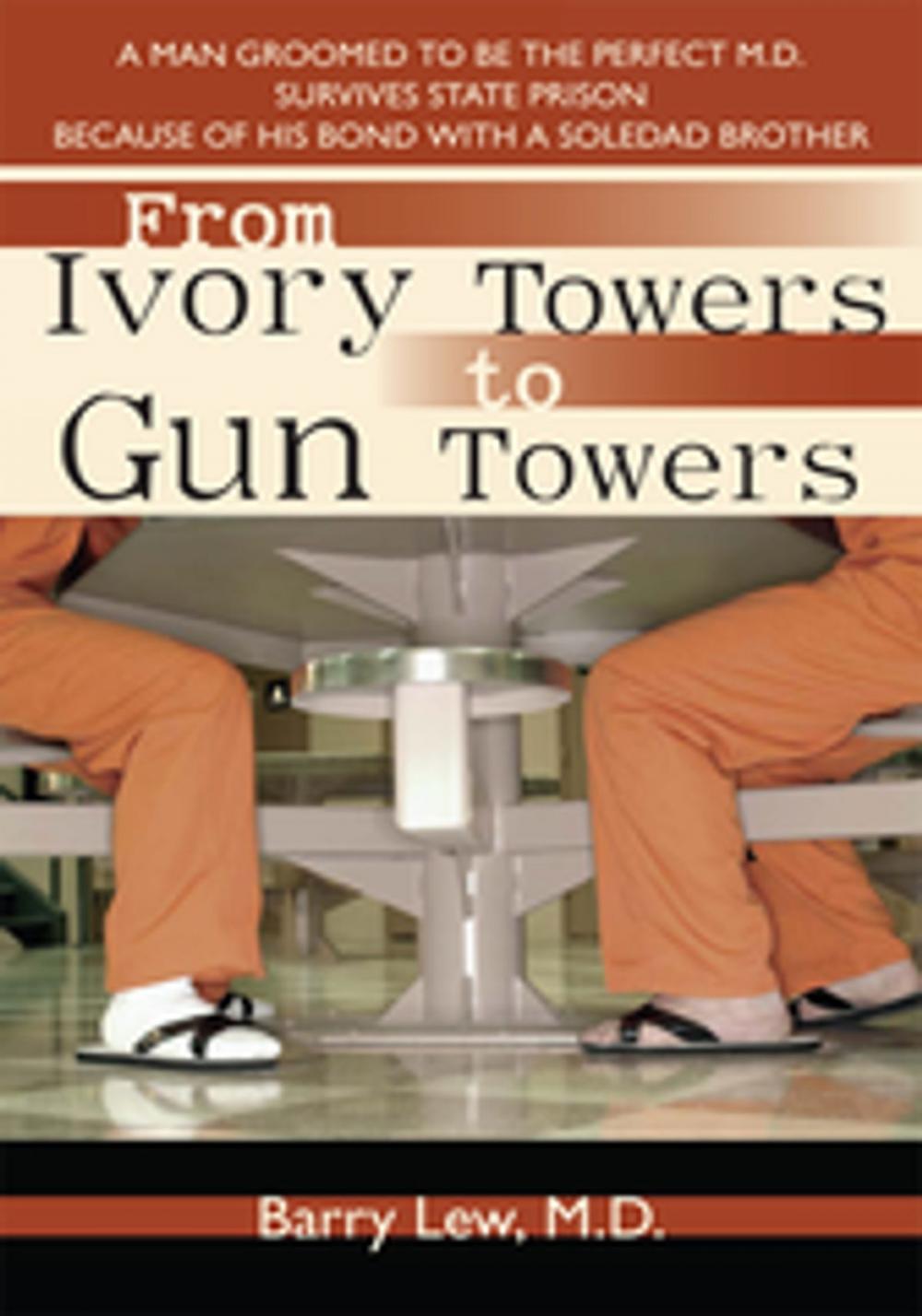 Big bigCover of From Ivory Towers to Gun Towers