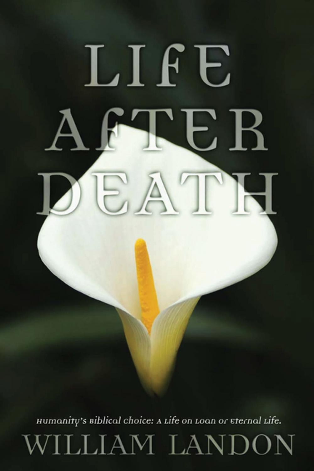 Big bigCover of Life After Death