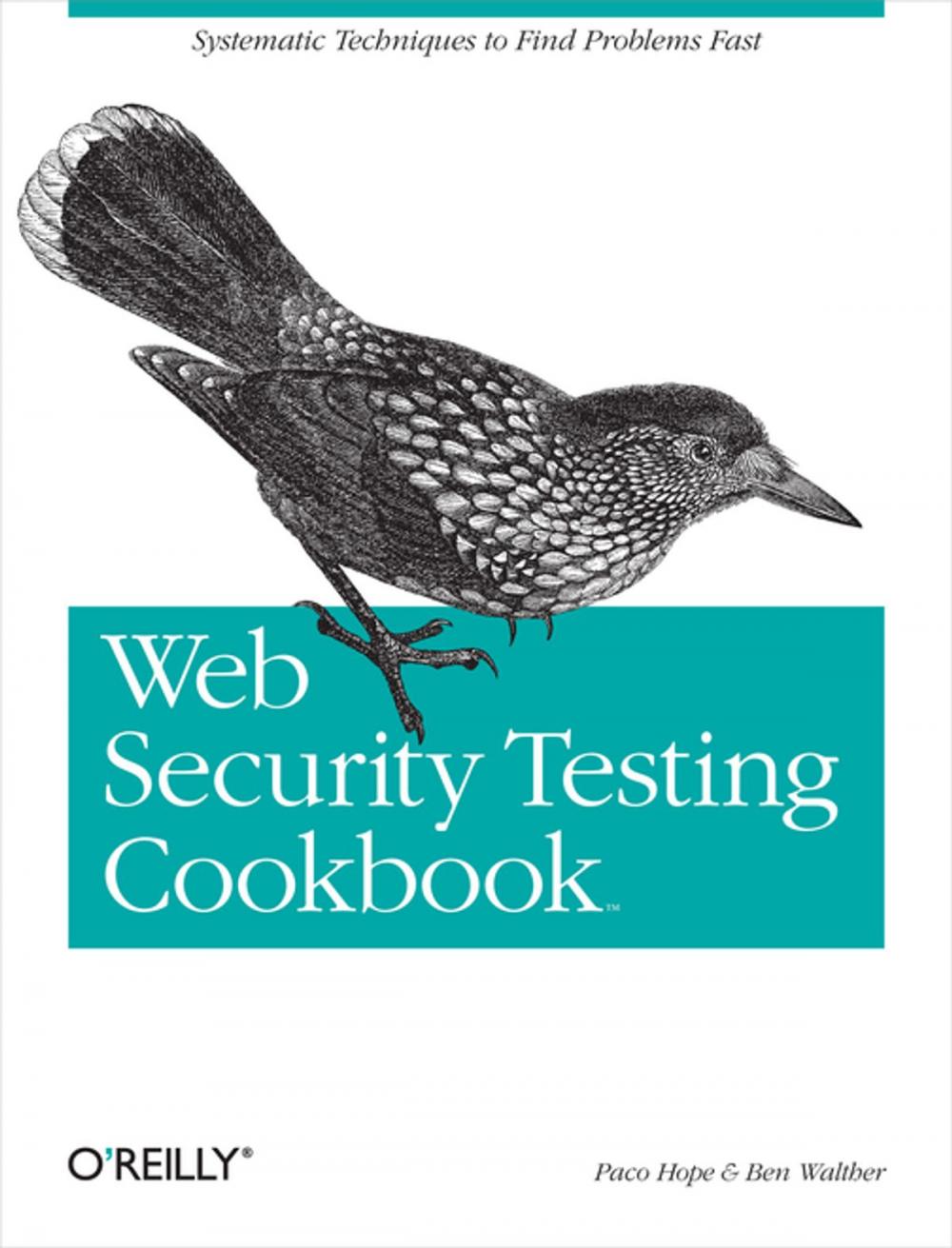 Big bigCover of Web Security Testing Cookbook