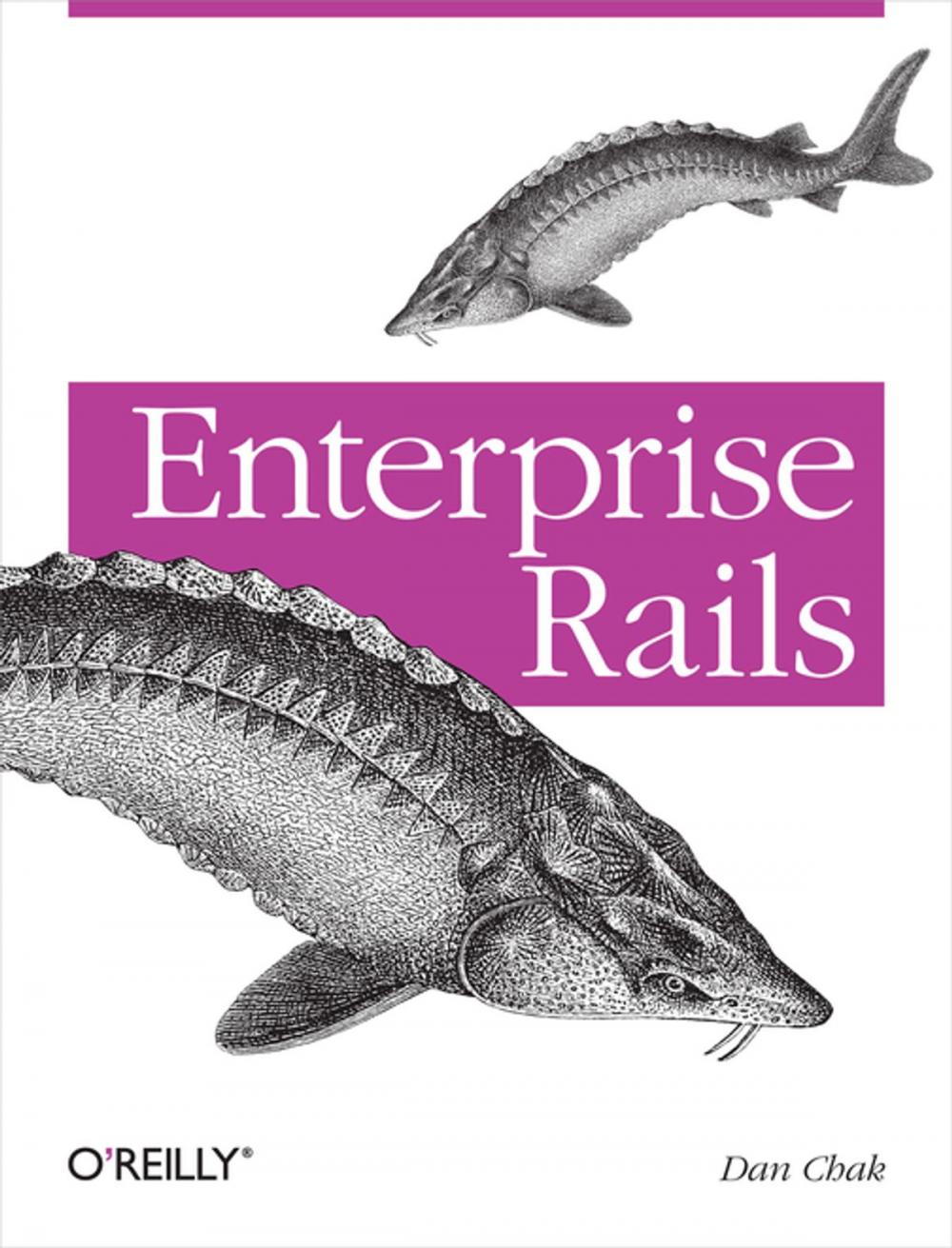 Big bigCover of Enterprise Rails